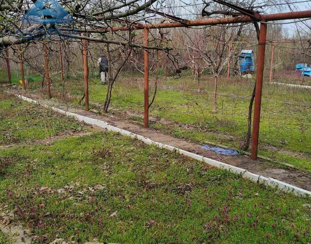 ПАРЦЕЛ-ПЧЕЛИН - 0