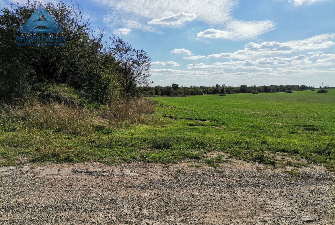 Поземлен имот - 0