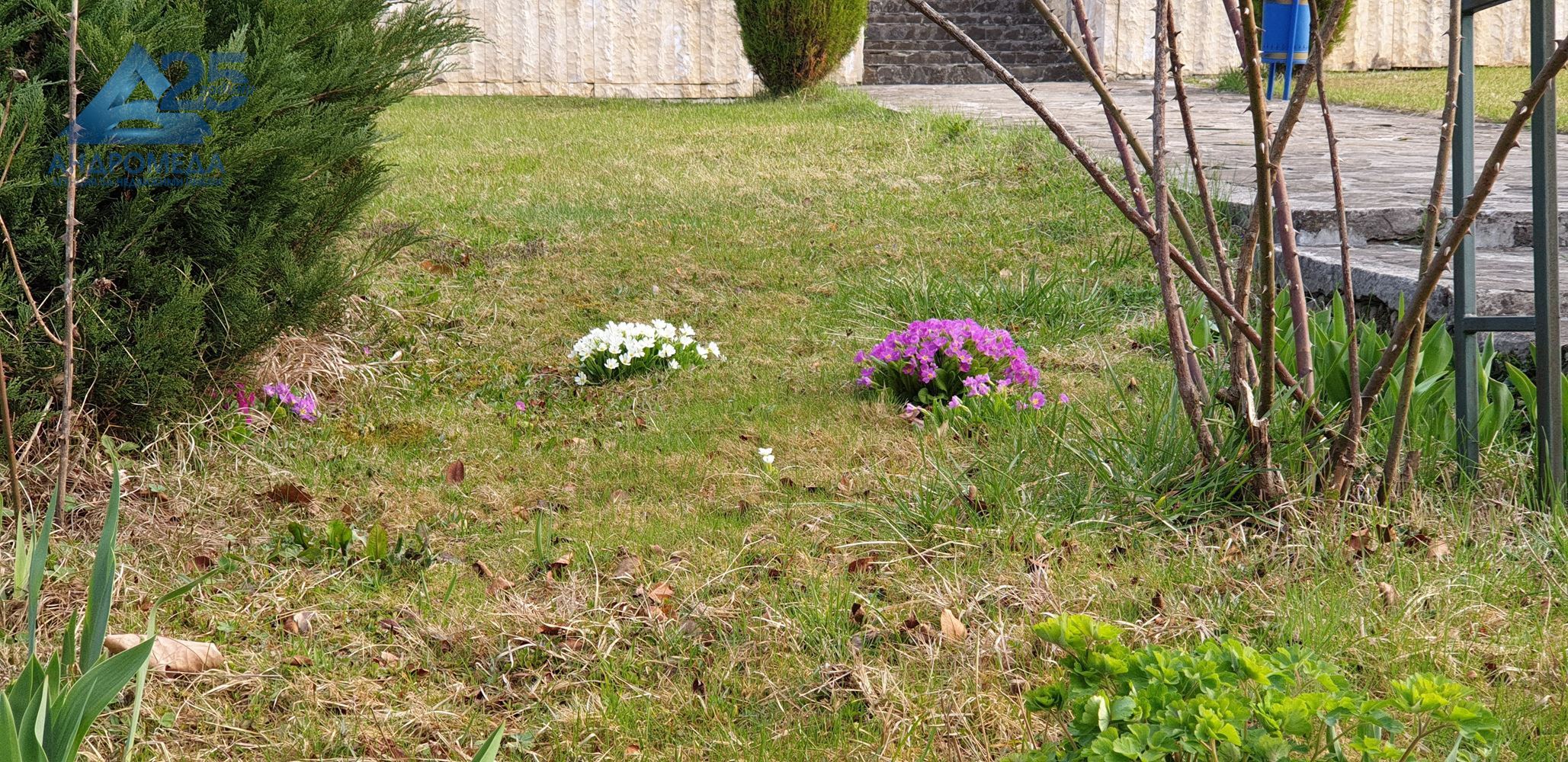 Хотел (работещ) в полите на Стара планина с отлична панорама и условия ! - 0