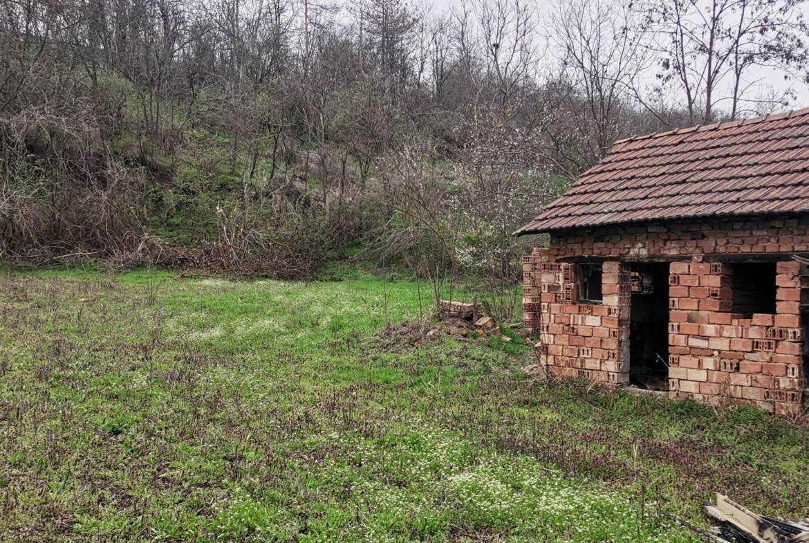 КЪЩА С.БРЪШЛЯНИЦА - 0