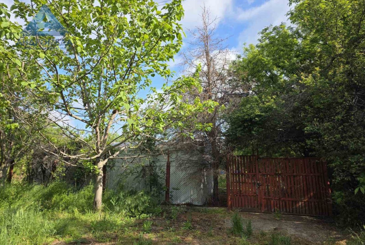 ПАРЦЕЛ-ПЧЕЛИН - 0