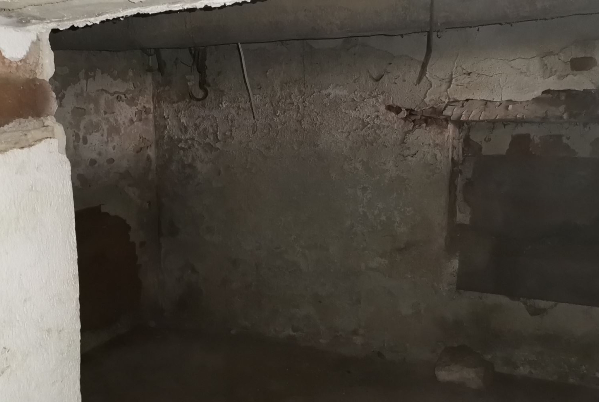 КЪЩА С.БРЪШЛЯНИЦА - 0