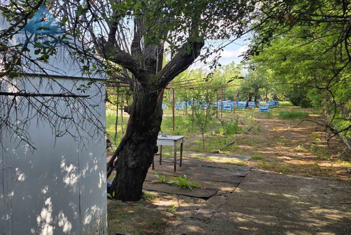 ПАРЦЕЛ-ПЧЕЛИН - 0