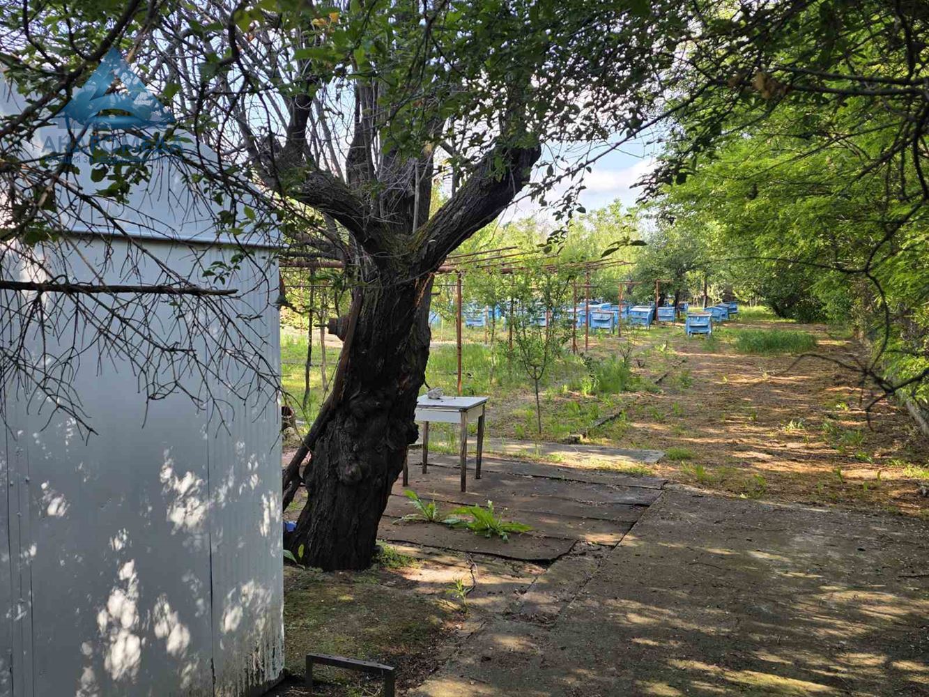 PACEL-PRELIN-0 ПАРЦЕЛ-ПЧЕЛИН - 0