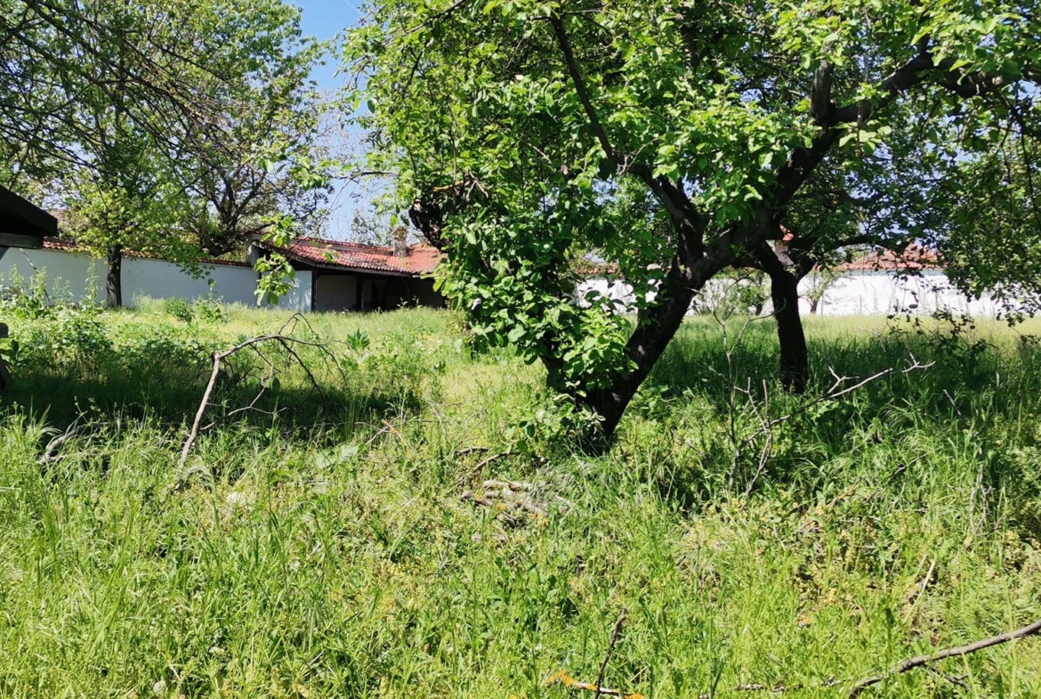 ПАРЦЕЛ С.ТЕЛИШ - 0