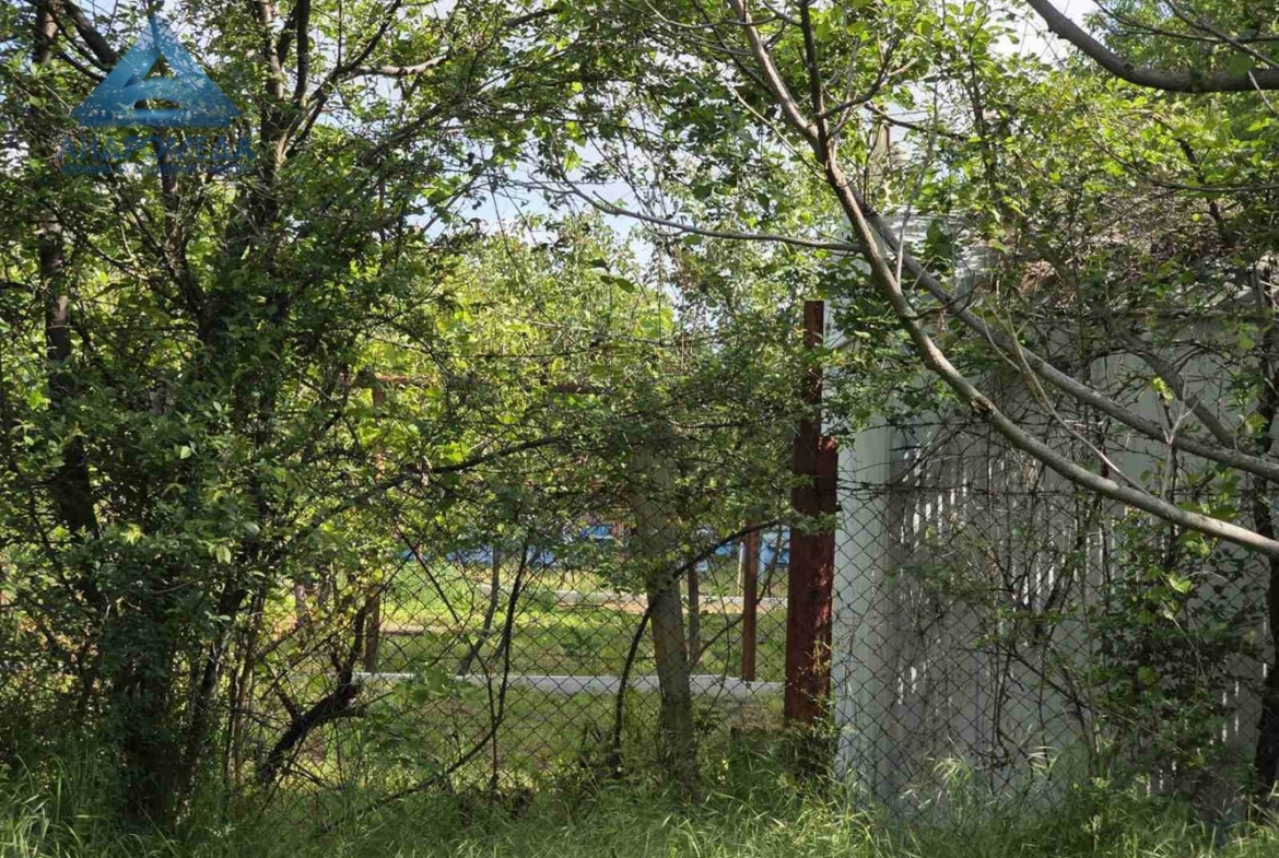 ПАРЦЕЛ-ПЧЕЛИН - 0