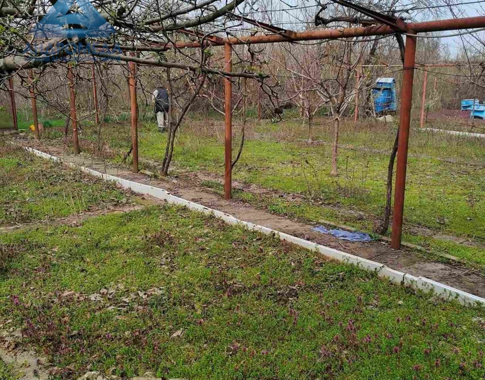 ПАРЦЕЛ-ПЧЕЛИН - 0