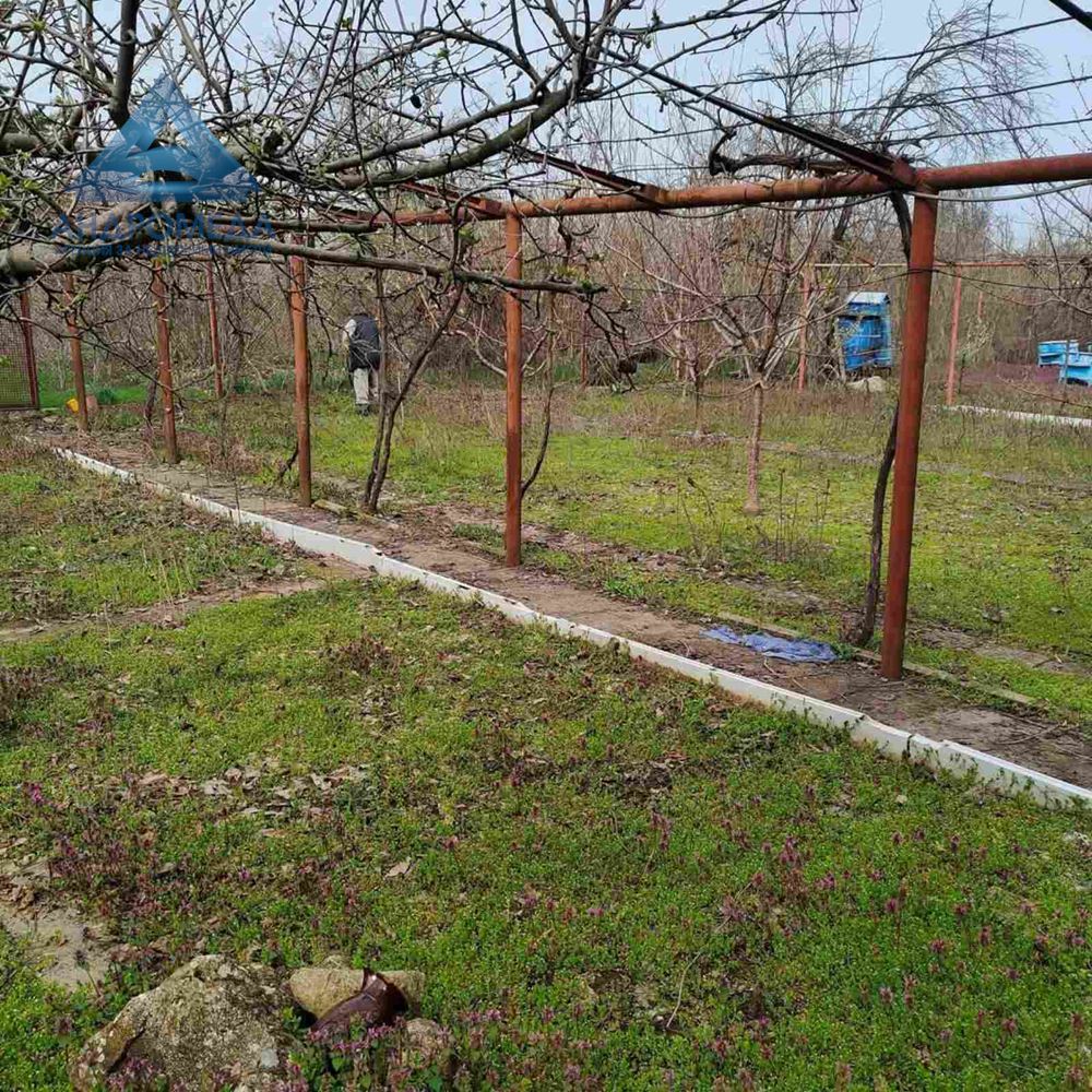 PACEL-PRELIN-0 ПАРЦЕЛ-ПЧЕЛИН - 0