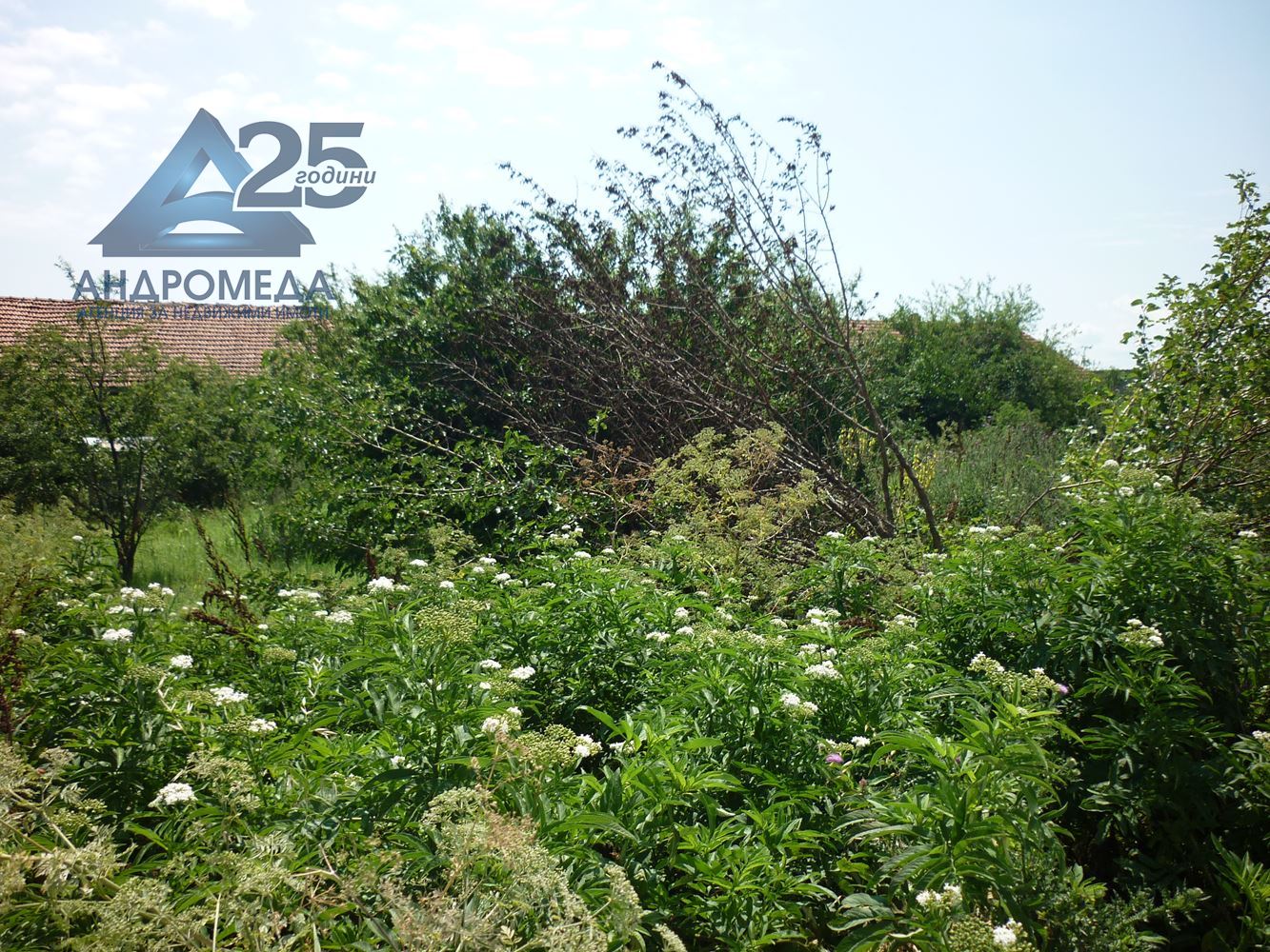 Двор-0 Двор - 0