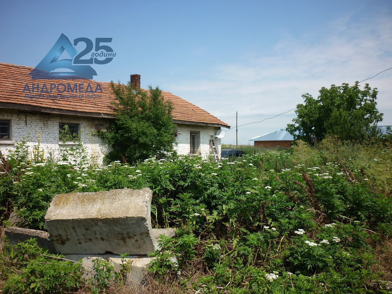 Двор-0 Двор - 0